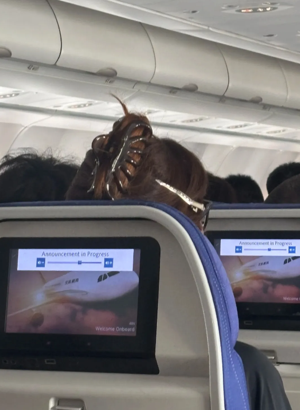 坐飞机时抬头吓了一跳！还以为是只大蟑螂！