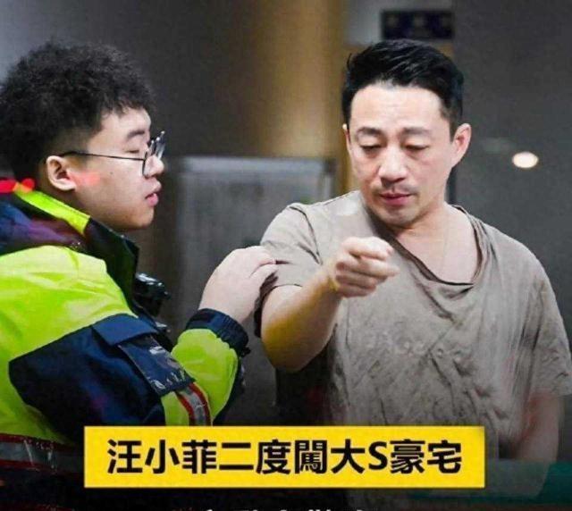 "家庭和谐，孩子成长的港湾 —— 谈汪小菲与大S的抚养权争议"
在家庭关系的漩涡
