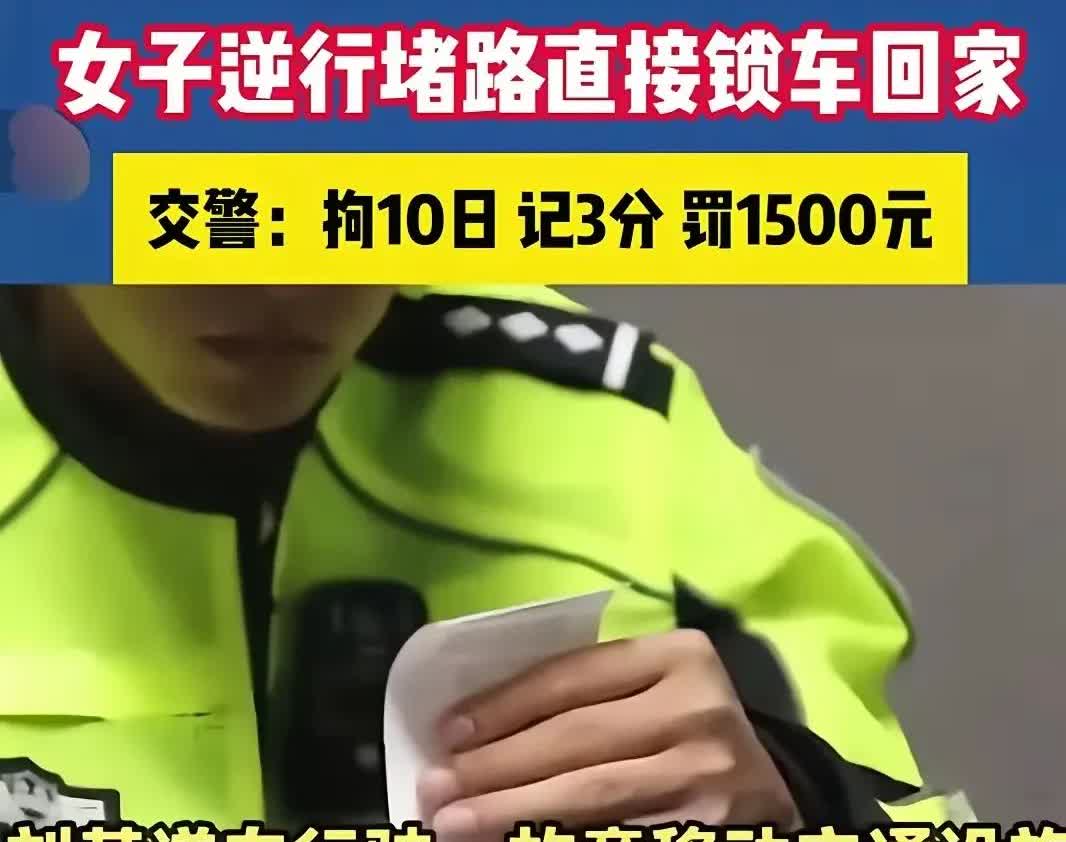 大快人心！！！一女子单行道逆行，不让道，直接锁车回家，脾气真拧巴，事后派出所里忏