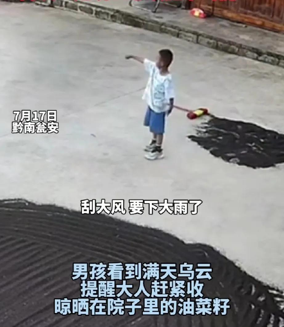 7月17日，黔南瓮安。一农户将收来的油菜籽，摊在地上晾晒。6岁的男孩在院子里面玩