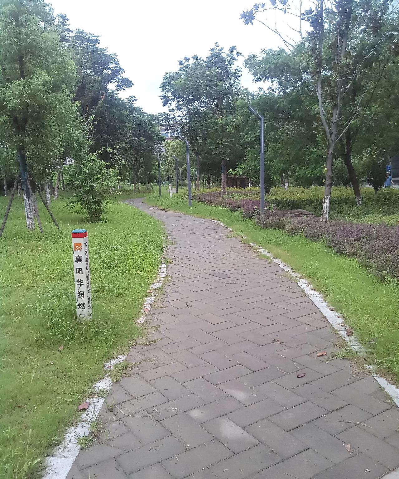 走在清晨路上
微风微微吹过
猫猫草轻轻摇晃
抬头乌云涌动
几滴毛毛雨落下
貌似襄