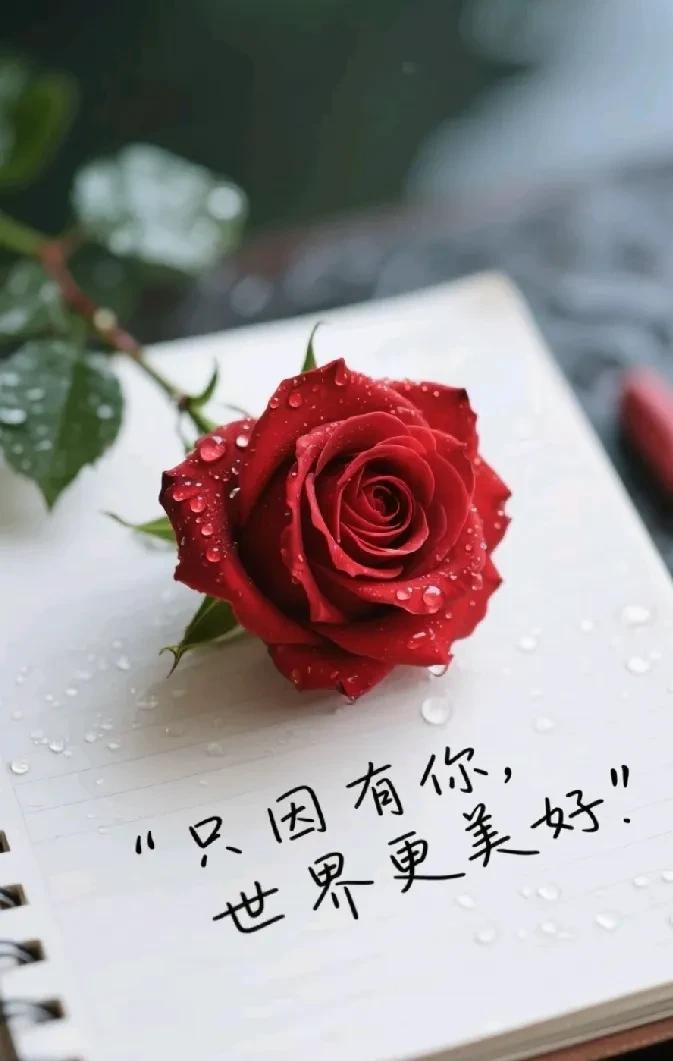 我们单位的保洁大姐，没比我大多少，但是人家孙子都跟我儿子差不多大了。
大姐两个儿