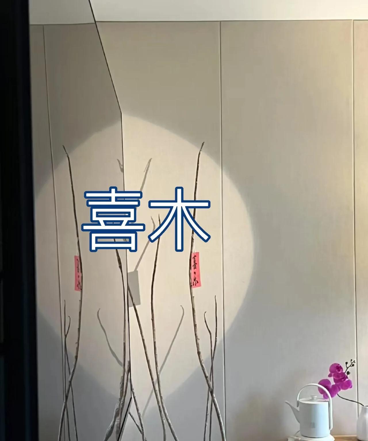 喜木的真相：不是热爱生长，而是被允许
最近状态不太对。
干不动事，也爱不了人。