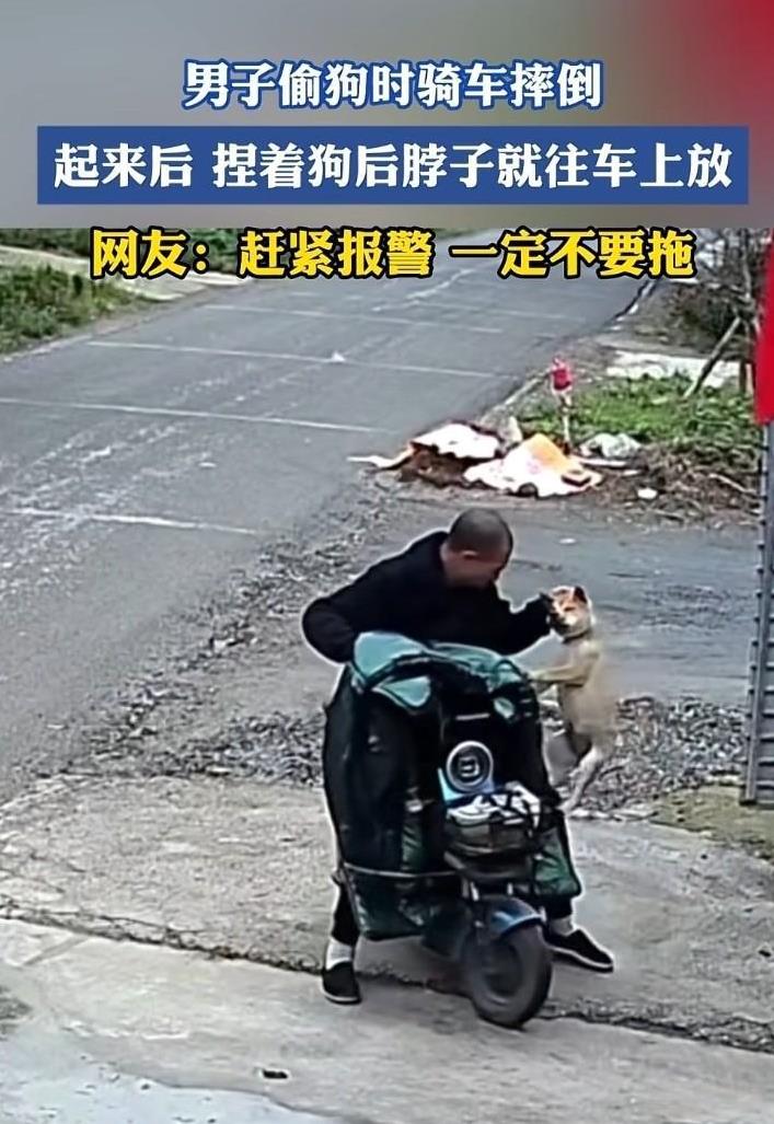 这样的人抓到了该怎么处理？
山西一偷狗的在狗主人家门口抢狗，摔倒了还死抓着狗跑！