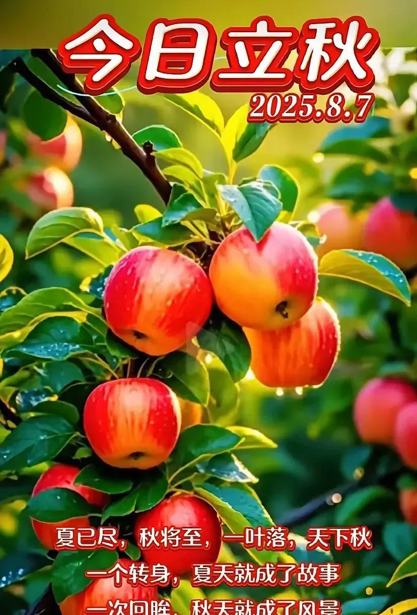 时光匆匆又立秋，
夏日炎炎终到头。
秋风习习送清凉，
安康度夏无烦忧。
[玫瑰]