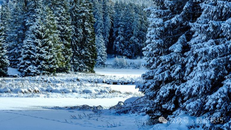 膝盖冰凉的人，每天“大雪踏步”100下，把气血引下去，膝盖轻松腿脚稳！