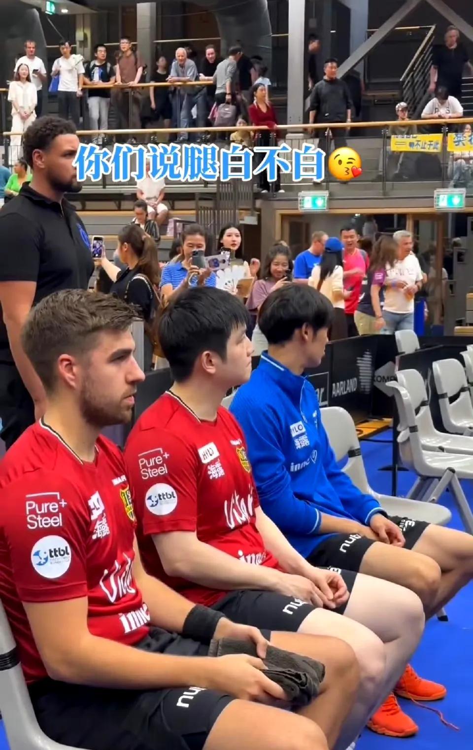没想到坐在白人堆里的樊振东，也白得发光，亮得连短裤颜色都变浅了。
不仅白，还嫩，