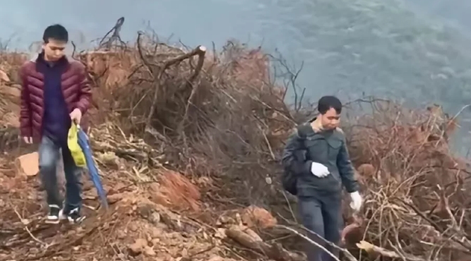 广西贵港，有一位村民跟家人时隔二年再次回到老家，发现自己种在山地上的几十亩八角树