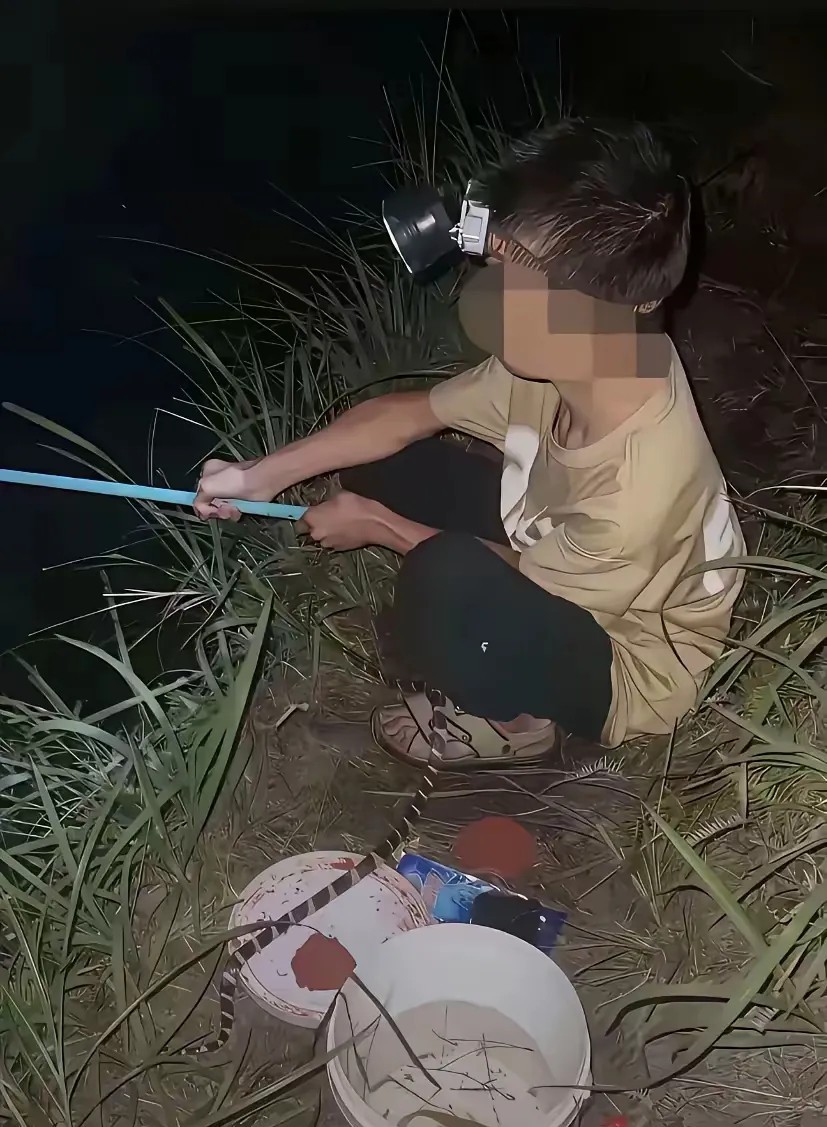 这小孩胆子真大，一个人在荒无人烟的地方夜钓，脚下还有条银环蛇，还能这么冷静，以后