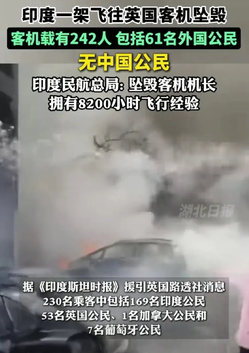 请大家这次不要冤枉印度了！

这次客机的坠毁根据专家的说法，应该是遭遇鸟群攻击了