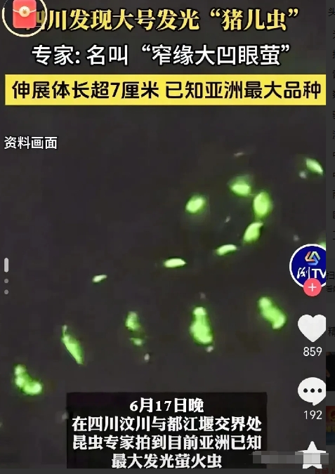 四川汶川和都江堰交界的地方，最近出了件新鲜事儿！6月17号晚上，昆虫专家在那儿拍