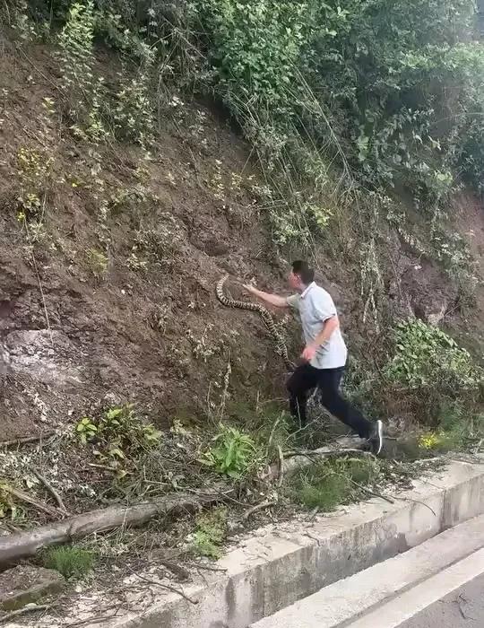 今天在下乡的路上，看到了让我震惊的一幕。
在我前方的一辆车上突然下来一位大爷，他
