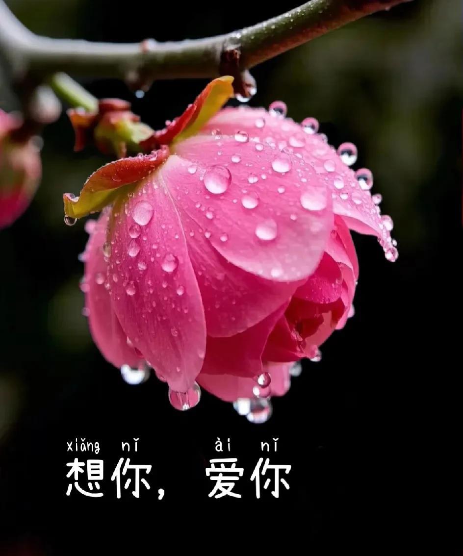 你是我
每到深夜
特别特别想念的人
你的好
温暖了寒夜的孤寂
你的笑
是我无尽的