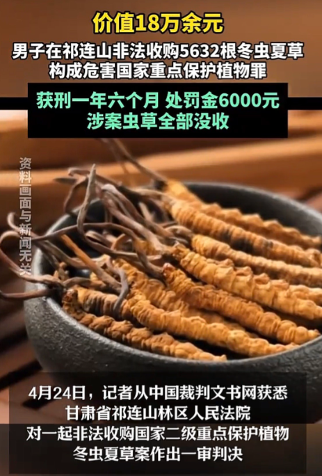 甘肃，男子看又到了挖虫草的季节，内心蠢蠢欲动。他让妻子带着同村另外3名妇女，在本