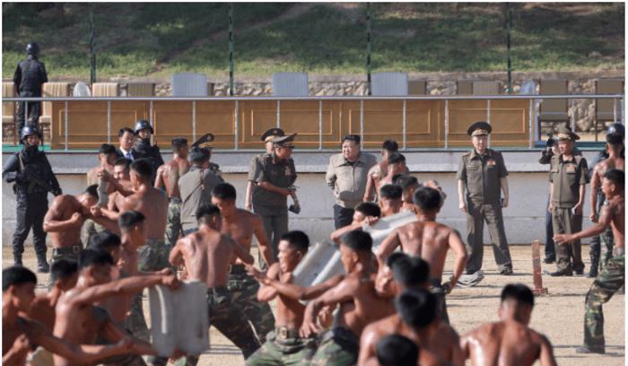 韩媒：一个朝军能顶两个俄军，韩国必须尽快出兵乌克兰
5日，韩联社援引韩国国情院的