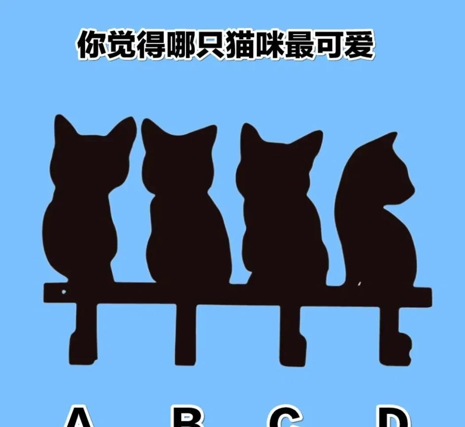 A.B.C.D四只猫咪，你觉得哪只最可爱呢？
告诉我你选哪一只？你第一眼看中哪只