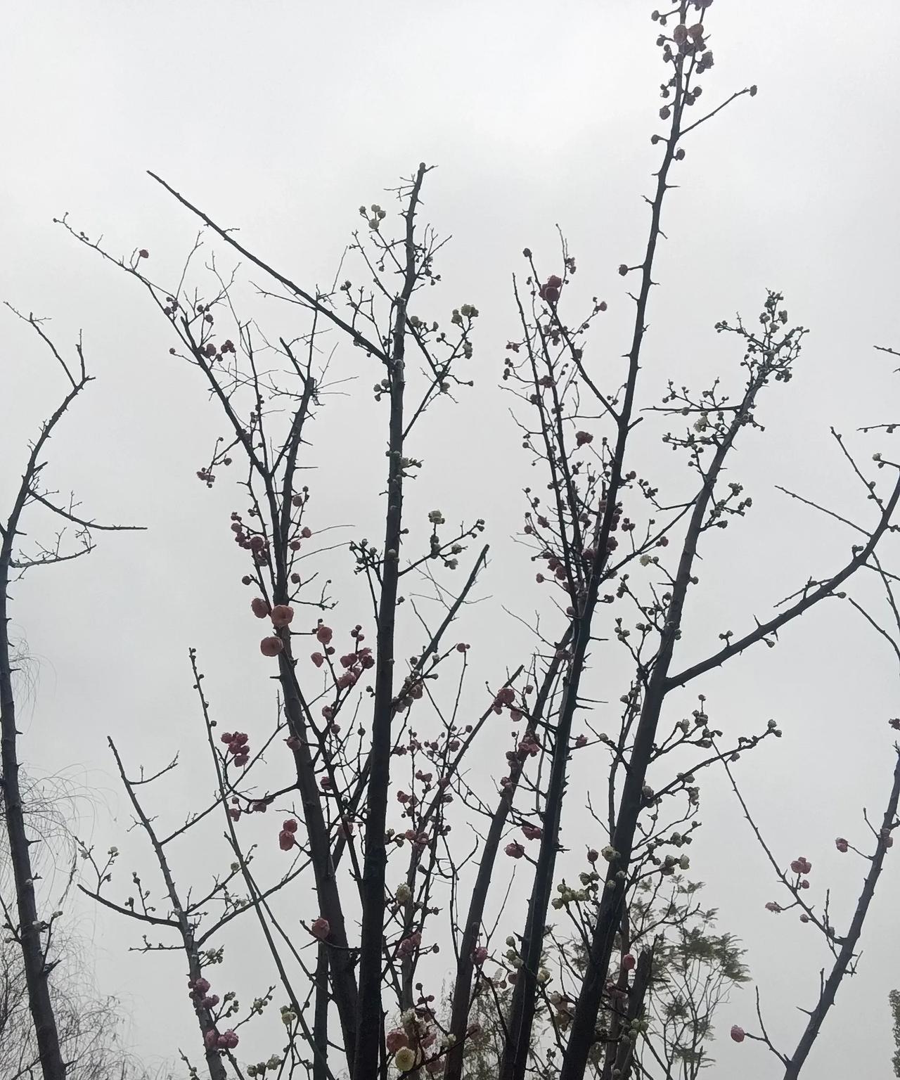 可他们写着写着就停更了！
为什么呢？
因为他们没信心，也没毅力。
没信心是他们觉