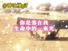 功德无量：经常投喂的流浪狗，生了三只小狗，其中一只狗先天残疾没有双手，把这只狗带