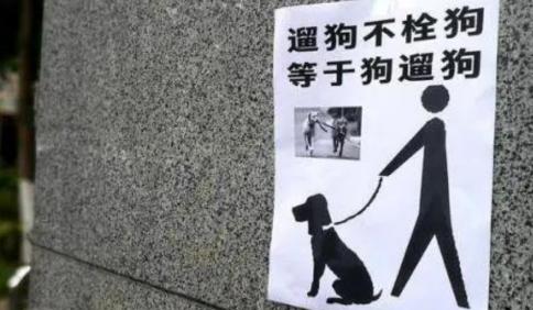 北京，一女子接孩子放学，在校门口发现有狗未栓绳便上前劝说，不料，狗主人却破口大骂