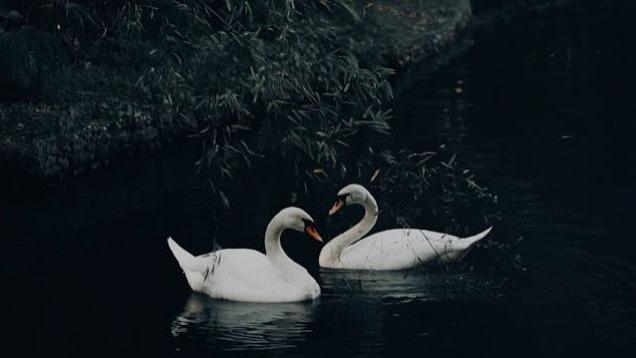 安遇情感：分手后想挽回，你要学会调动男人情绪