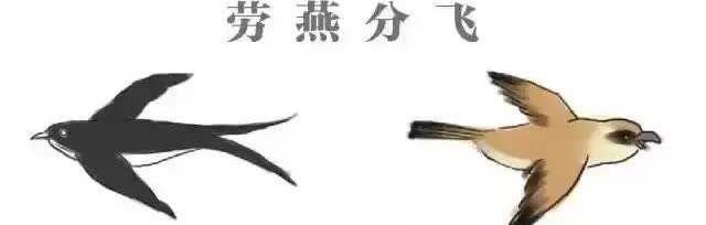 婚变的转机
@潘小七生活日记 终于发声了，大战和护撕即将开始！
@潘小七生活