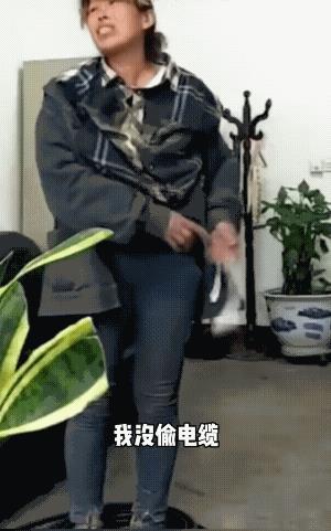 女子说这是她的护腰带，不是咱单位的电缆，真的不是。
有网民说，她是不是还有同伙呀
