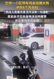 “必须严惩！”甘肃兰州，三名女子经过地下停车场时，突然，一只白色贵宾犬冲了过来，