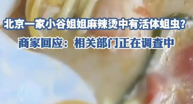 男子在麻辣烫中吃出活蛆，相关部门已经介入调查！
男子荀先生，在北京一麻辣烫店通过