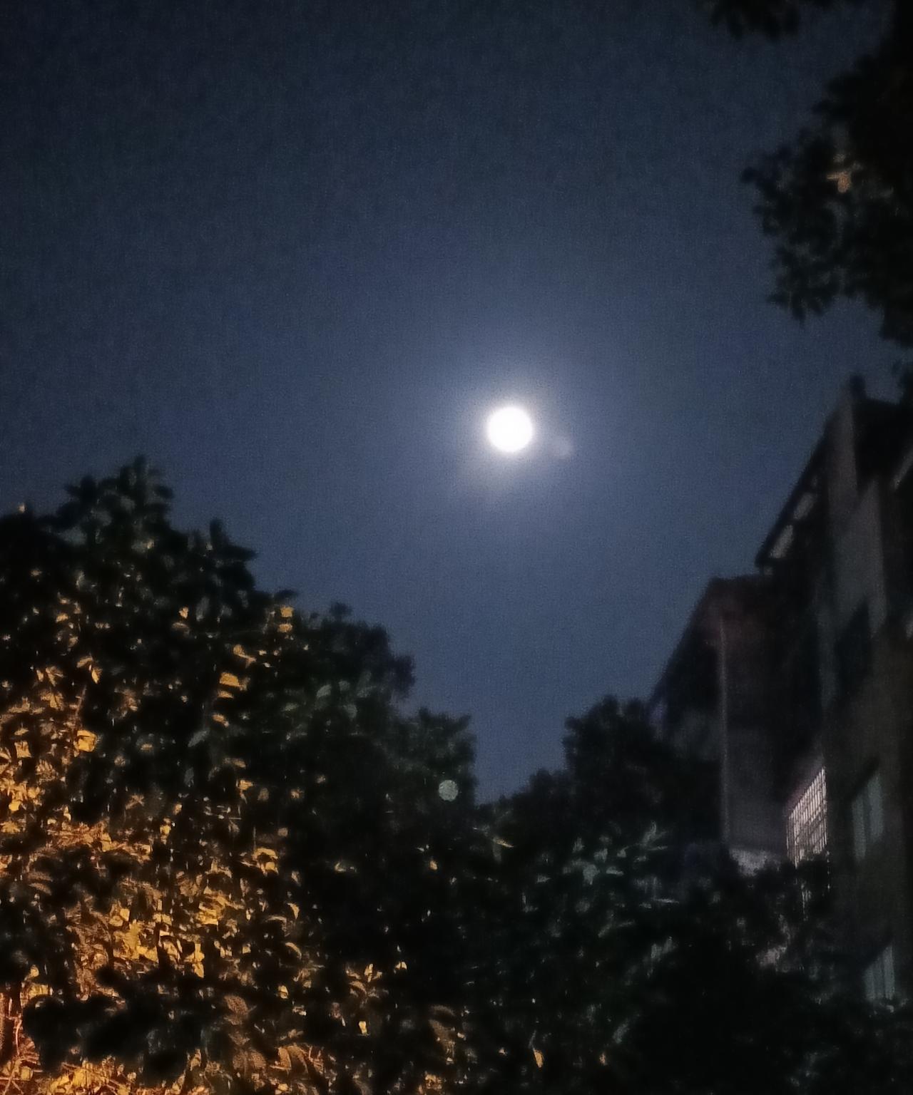    《月儿圆》
十五月亮十六圆
十六月饼两块钱
如今月饼千百味
却无一味似童年
