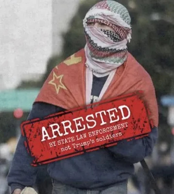 叛逆老哥袭警被抓，身份成谜











---










