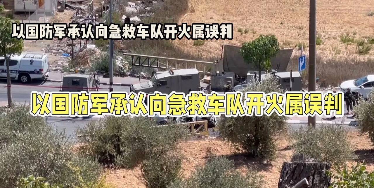 英国“天空”新闻网，美国《纽约时报》报道称，针对上月23日在加沙地带南部造成15