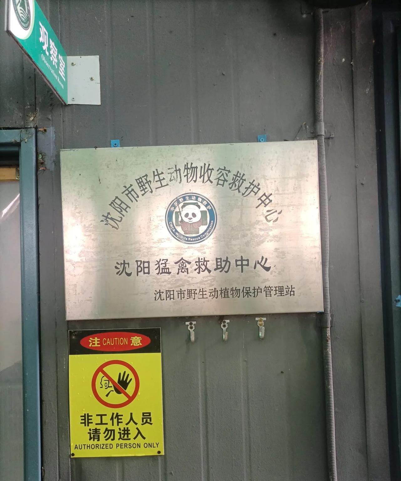 沈阳野生动物收容救护中心沈阳猛禽救助中心。
这个世界很无奈，这里的大部分猛禽都是
