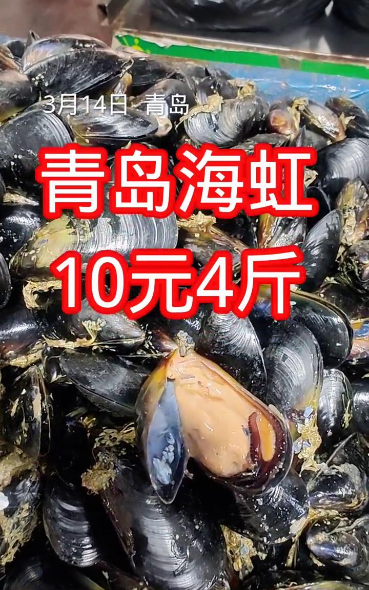 青岛早市，海虹10元4斤，真好吃。#青岛海鲜消费# #青岛水产品#