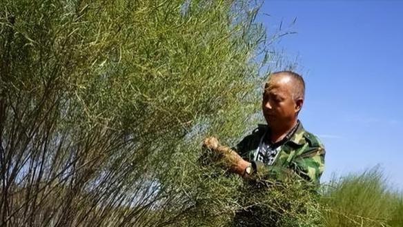 花9亿把黄河引到沙漠后，内蒙古出现奇观！引黄入沙工程有多牛？