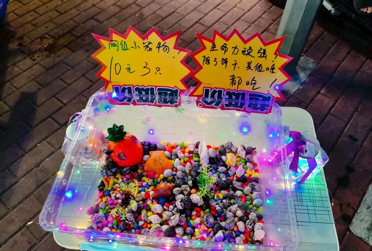 同样的错事干了两次，真是想掐死自己的心都有了。
昨天去市中心摆摊就卖了10块钱，