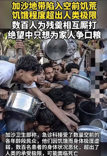 加沙的饥荒现状太令人惊讶。联合国世界粮食计划署宣布，因以色列封锁，加沙所有其支持