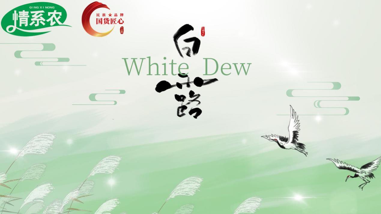 情系农 | 白露——露从今夜白，农事正繁忙