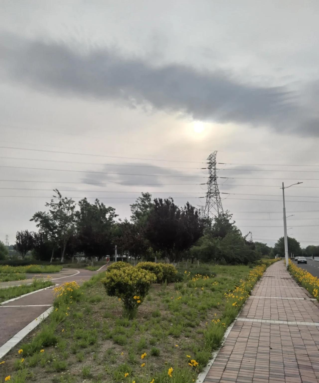 向前看一路繁花