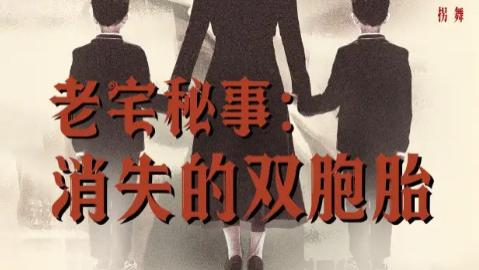 短剧《老宅秘事消失的双胞胎 - 消失的孩子》：在 90 集迷雾里，窥见人性的深渊与微光