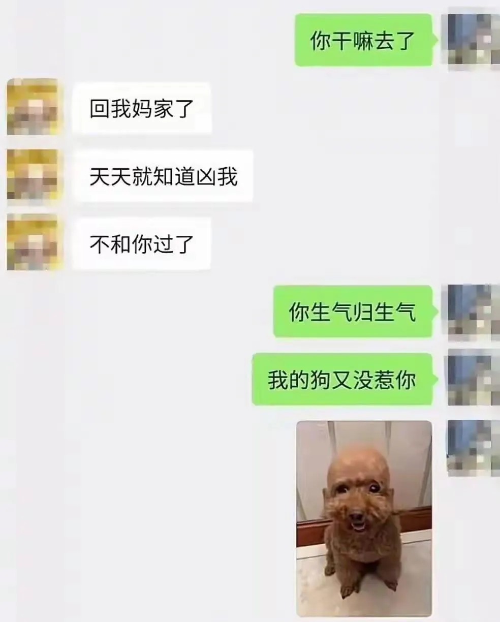 狗狗承担了太多