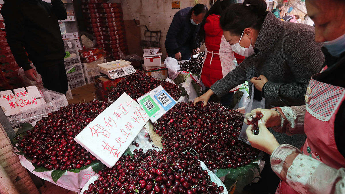 智利车厘子"红潮"涌向中国 春节市场迎来甜蜜风暴