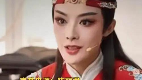 南大教授纠正陈丽君口误遭网暴 饭圈文化再掀争议风暴