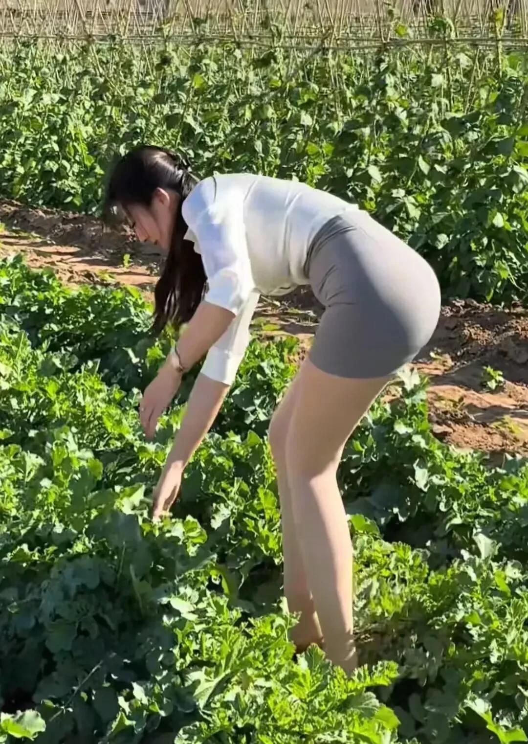 退休后的神仙日子：空调房+荔枝自由，谁还出门人挤人？
以前总想着退休要到处旅游，