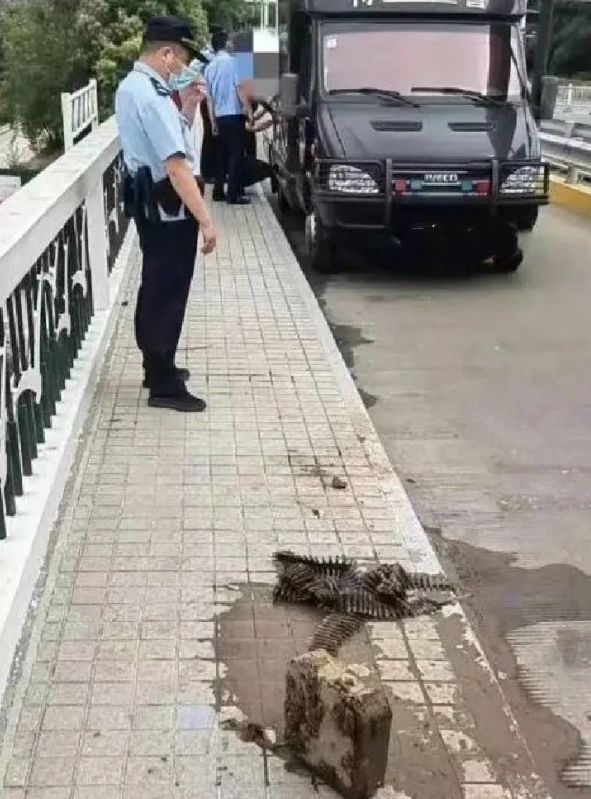 什么都可以钓到，不愧是钓鱼佬啊 ​​​！