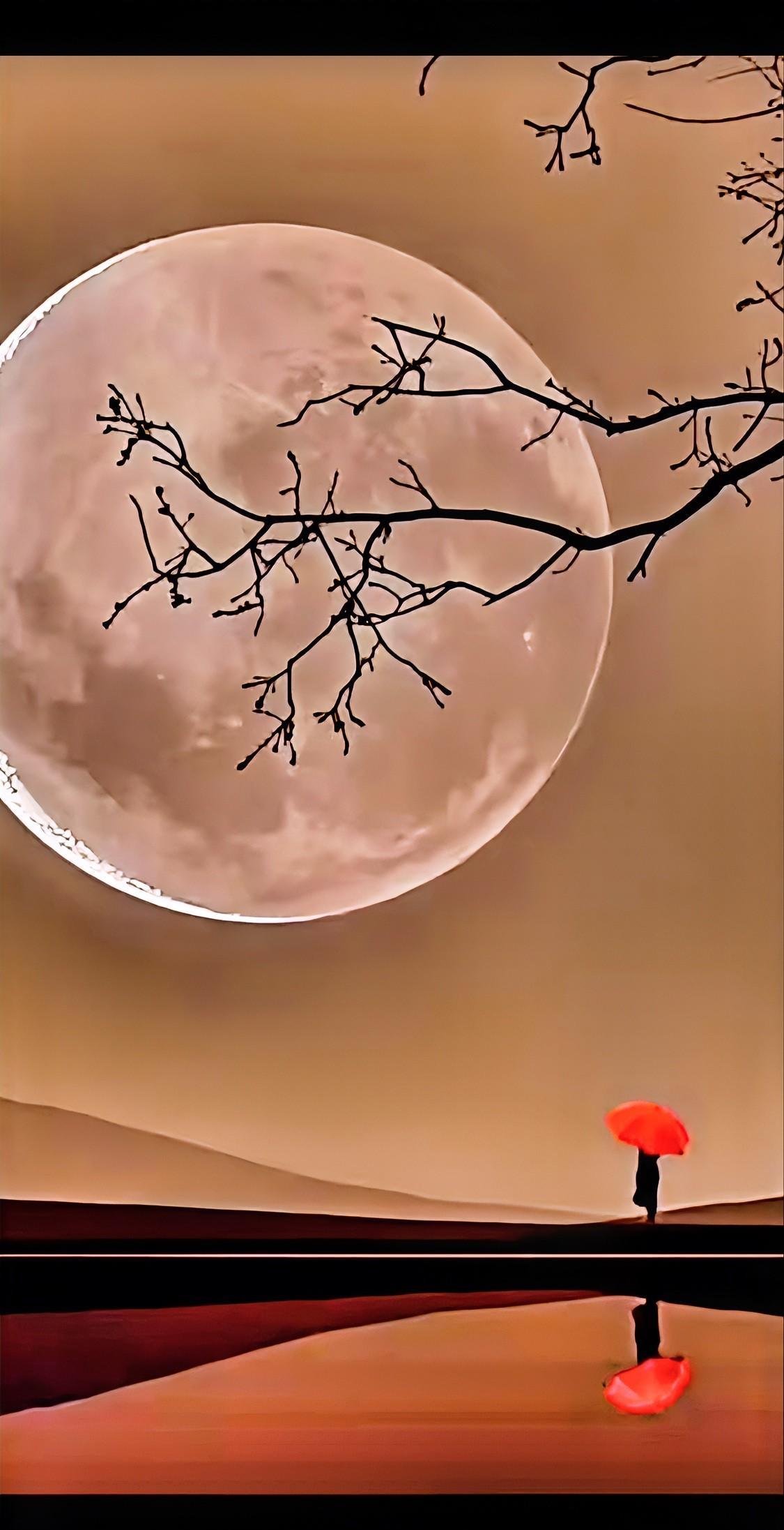 #你最喜欢的一句人生感悟是什么#
我喜欢秋天
爱这个成熟的季节
站在窗前
任秋风