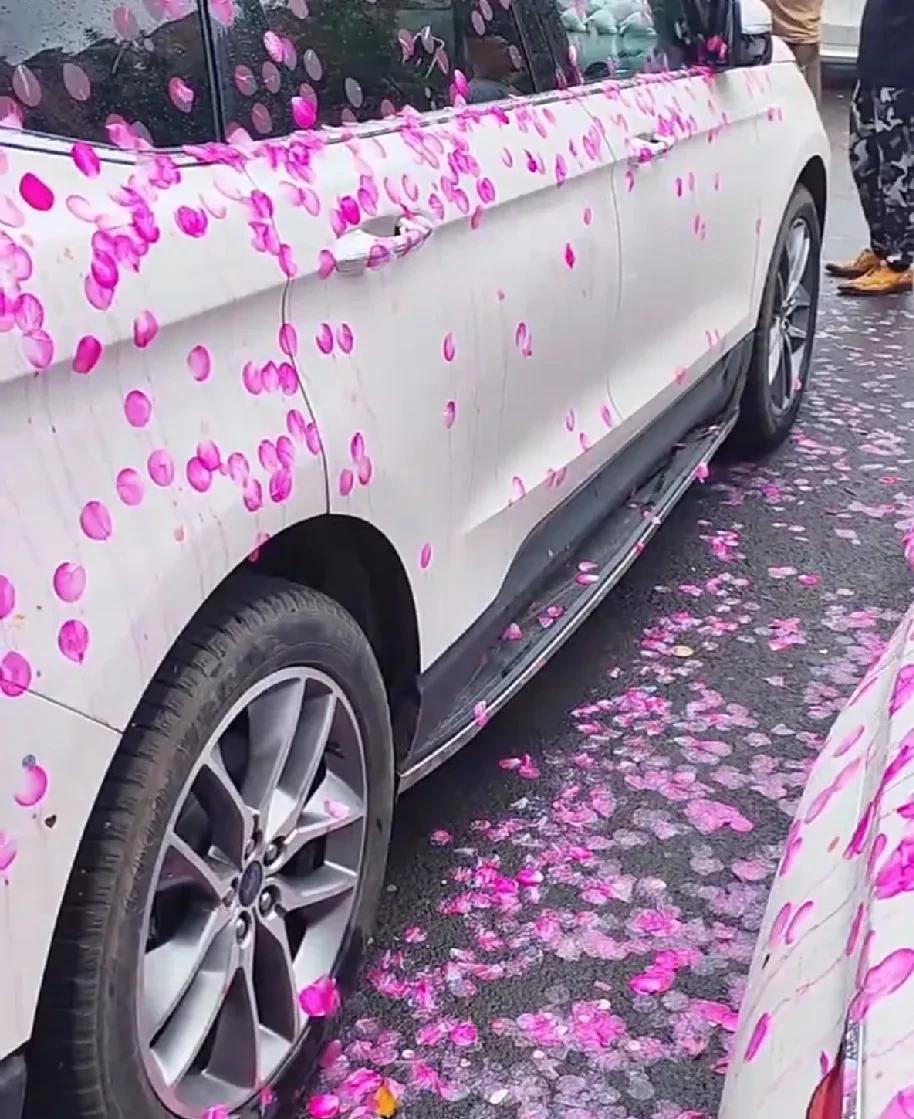 暴雨后紫花车如梦！车主懵了：这咋整啊[石化]