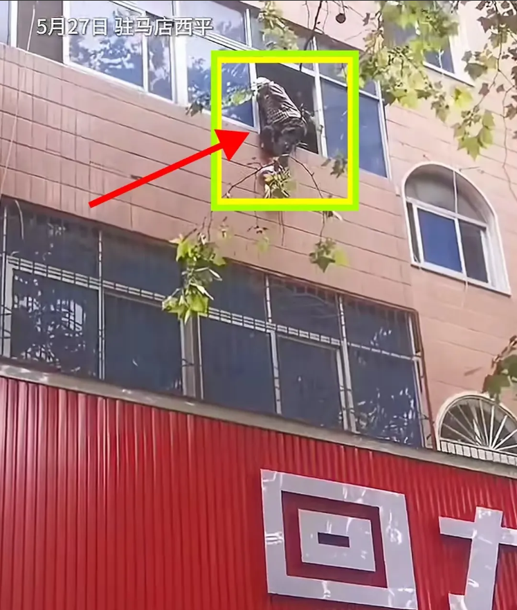 102岁老人误把窗户当门从3楼坠落
这个事给有老人的家庭敲了个响钟
家里有老人的