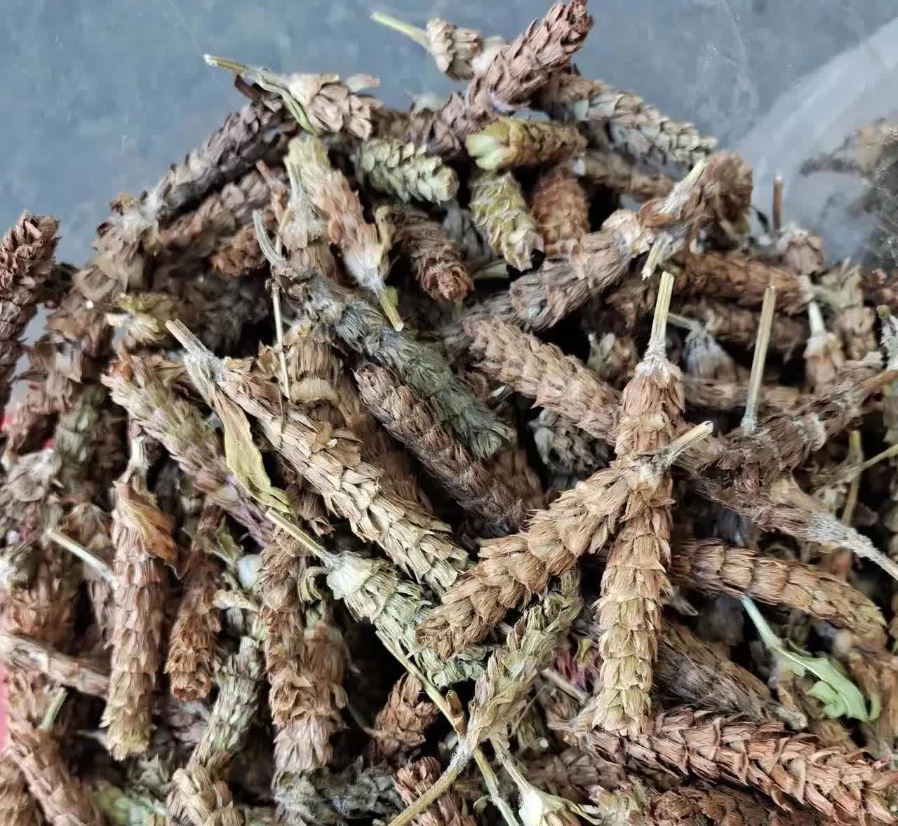 广东佛山，有一名女子到楼顶晾晒衣服，意外的发现邻居家的阳台上，晒着一种非常奇怪的