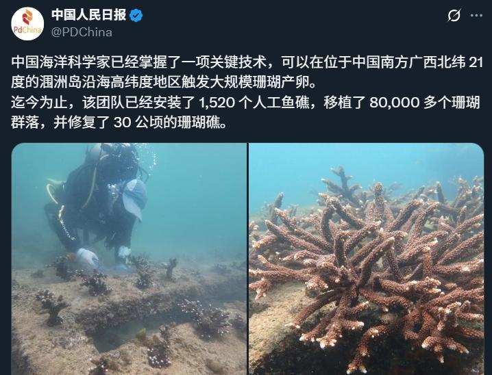 这个就得多拿给美国人看！目的就是要他多想，考虑的复杂越好，最好把自己带入其中，“