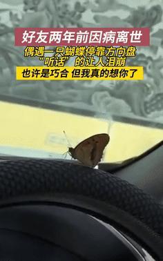 这难道就是战友情？”今年6月，辽宁一男子战友2年前就已病逝，就在3天前，男子偶遇